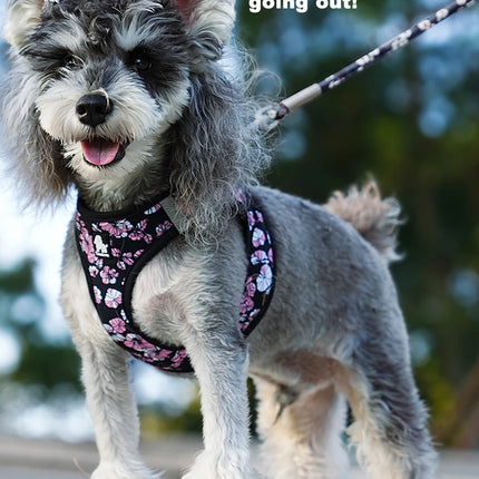 Truelove Reflective Dog Harness and Leash Set for Small Medium Dogs Soft Breathable No Pull Pet Vest Outdoor TLH3016+TLL25761