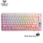 Gradient Pink V3