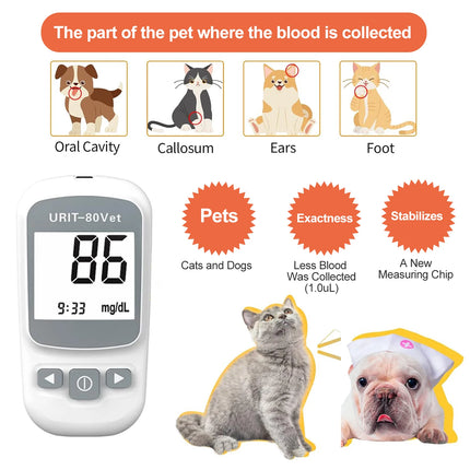 Glucose Monitoring Kit for Dogs & Cats, Pet Blood Sugar Monitor with Pain-Free & Easy Shuttle, No-Coding Kits