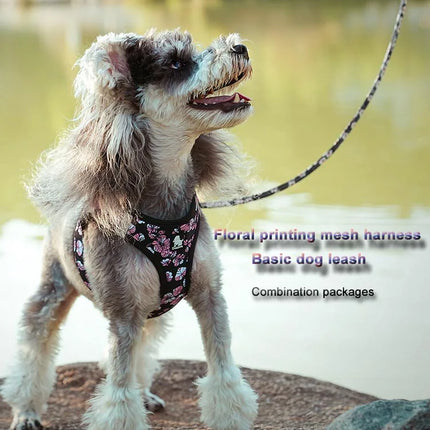 Truelove Reflective Dog Harness and Leash Set for Small Medium Dogs Soft Breathable No Pull Pet Vest Outdoor TLH3016+TLL25761