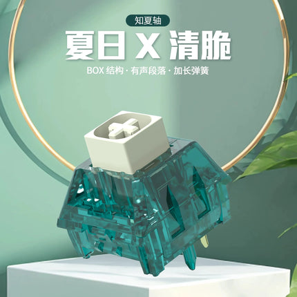Kailh BOX Summer Switch 5 Pins Clicky Tactile Switches DIY Mechanical Gaming Keyboard Sound Crisp 55gf Factory Lubed Custom Kit