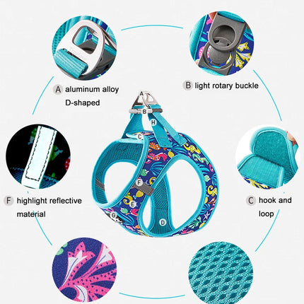 Truelove Reflective Dog Harness and Leash Set for Small Medium Dogs Soft Breathable No Pull Pet Vest Outdoor TLH3016+TLL25761