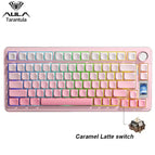 Gradient Pink CA