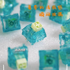 Summer Switch / 30 PCS