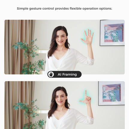 OBSBOT Meet SE 1080P 100FPS Webcam for PC, AI Framing Streaming Camera with 1/2.8" Sensor, Beauty Mode, Gesture Control, HDR