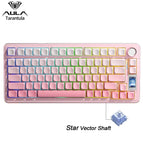 Gradient Pink